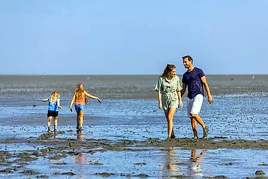 Familie bei einer Wattwanderung